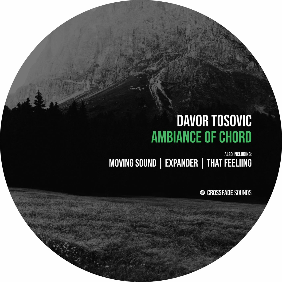 Davor Tosovic - Ambiance of Chord [CS108]